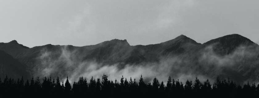 mountains and trees and zion bible meaning