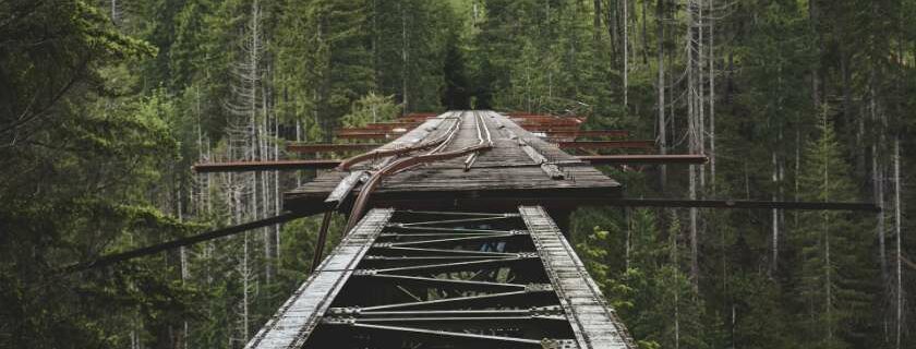 mountain bridge surrounded by green trees and difference between faith and trust